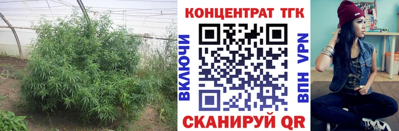 Дистиллят ТГК Wax  Зима 