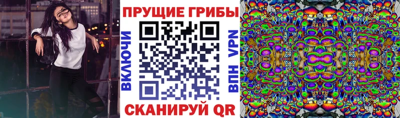 KRAKEN рабочий сайт  где купить наркотик  Зима  Псилоцибиновые грибы Psilocybe 
