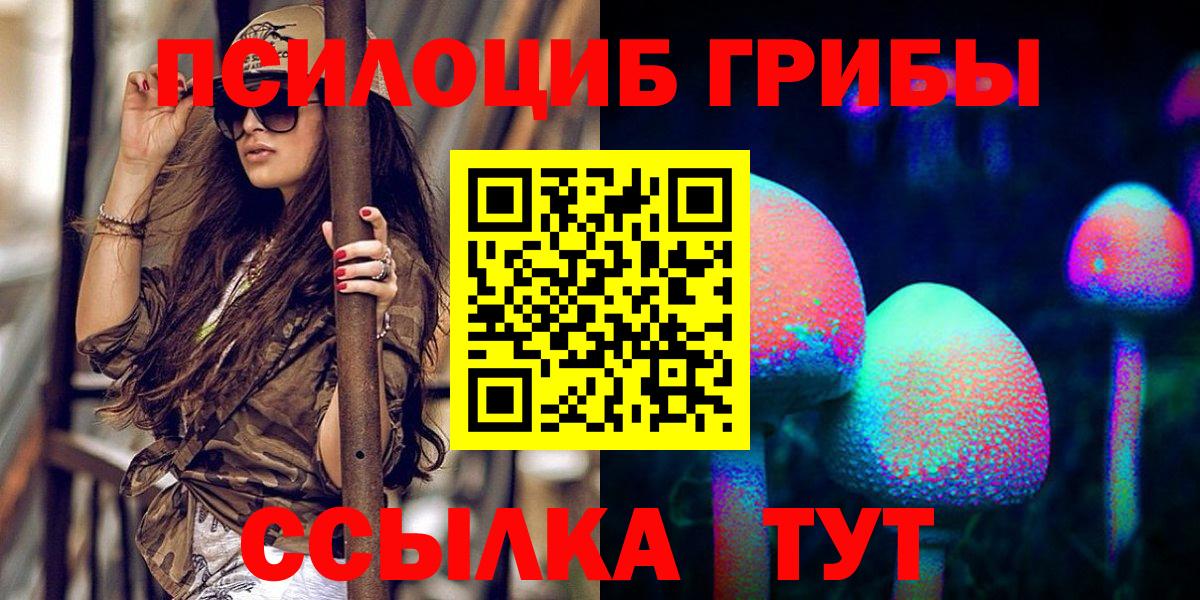 Псилоцибиновые грибы мицелий Зима