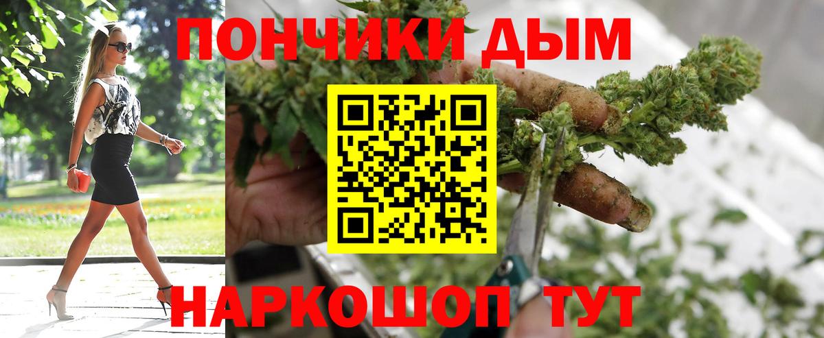 Бошки марихуана план Зима