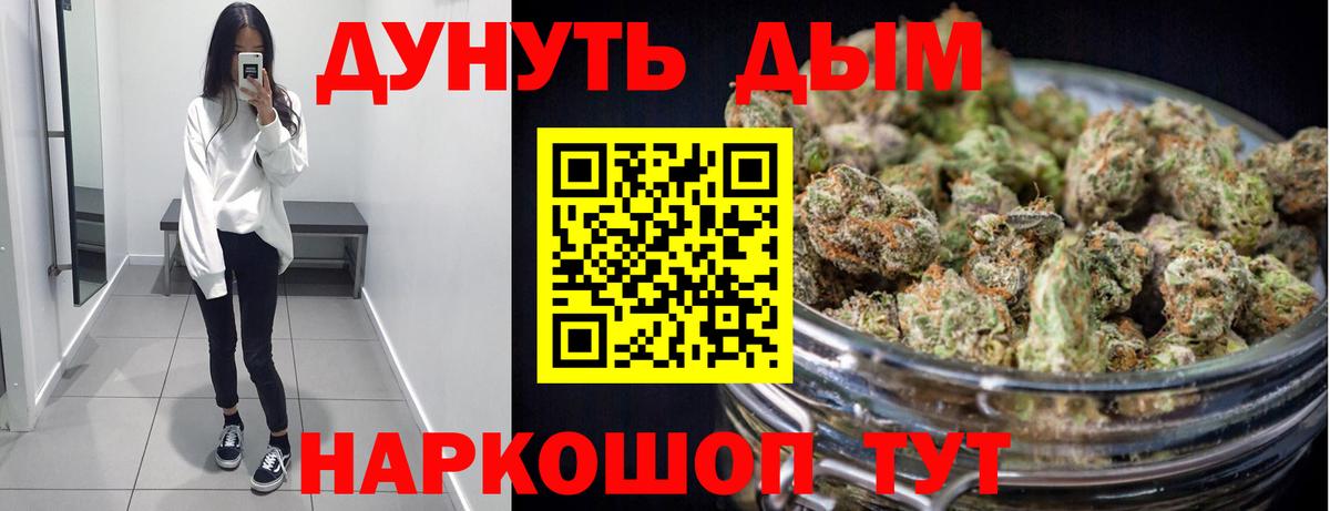 Зима  Канабис ГИДРОПОН  Марихуана план  Вход с VPN  Каннабис OG Kush 